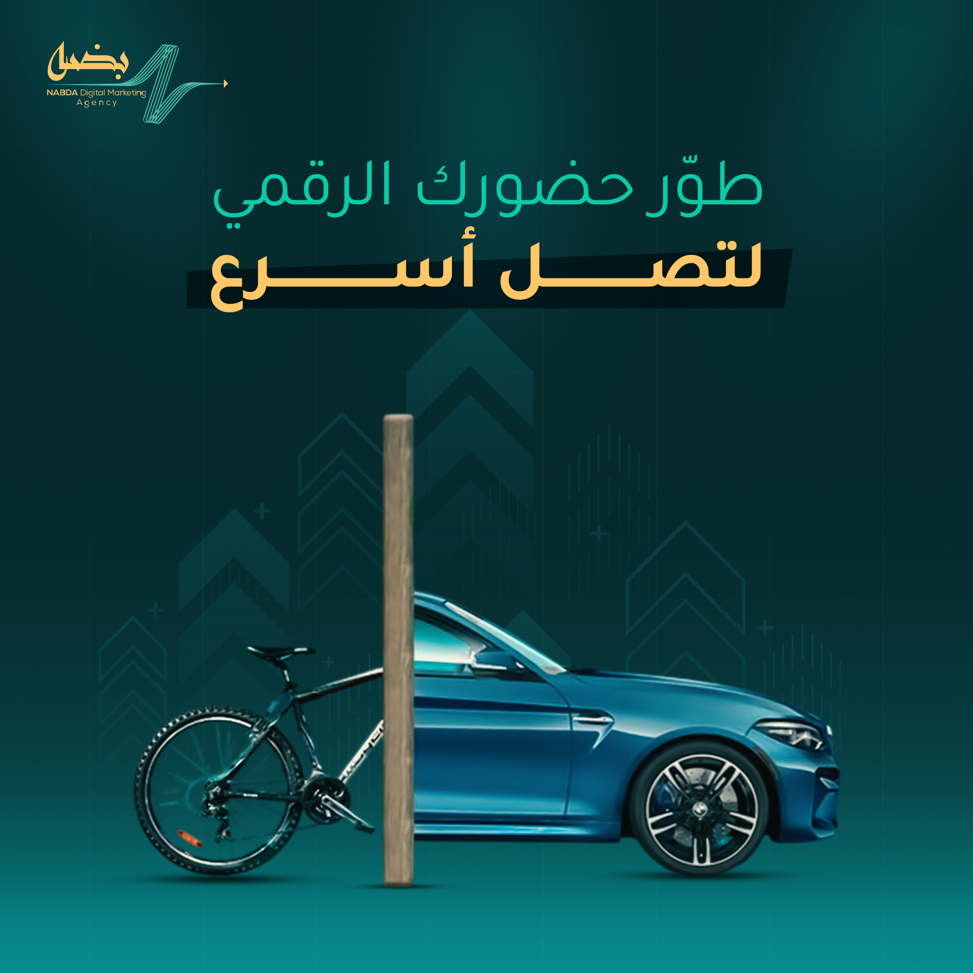 صورة 3